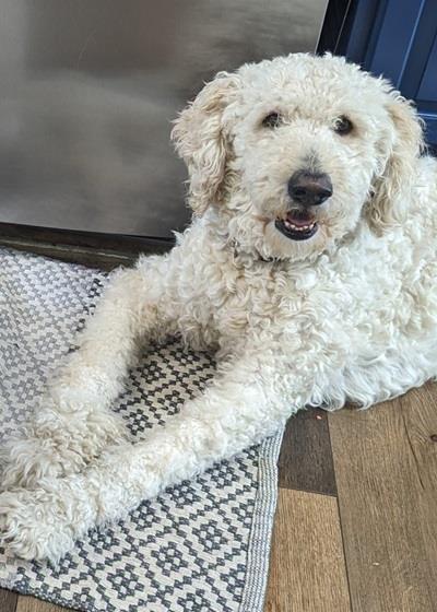 Barkley